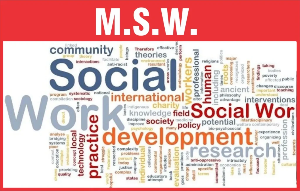 msw projects